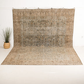 Albinoria - Vintage Persian Area Rug
