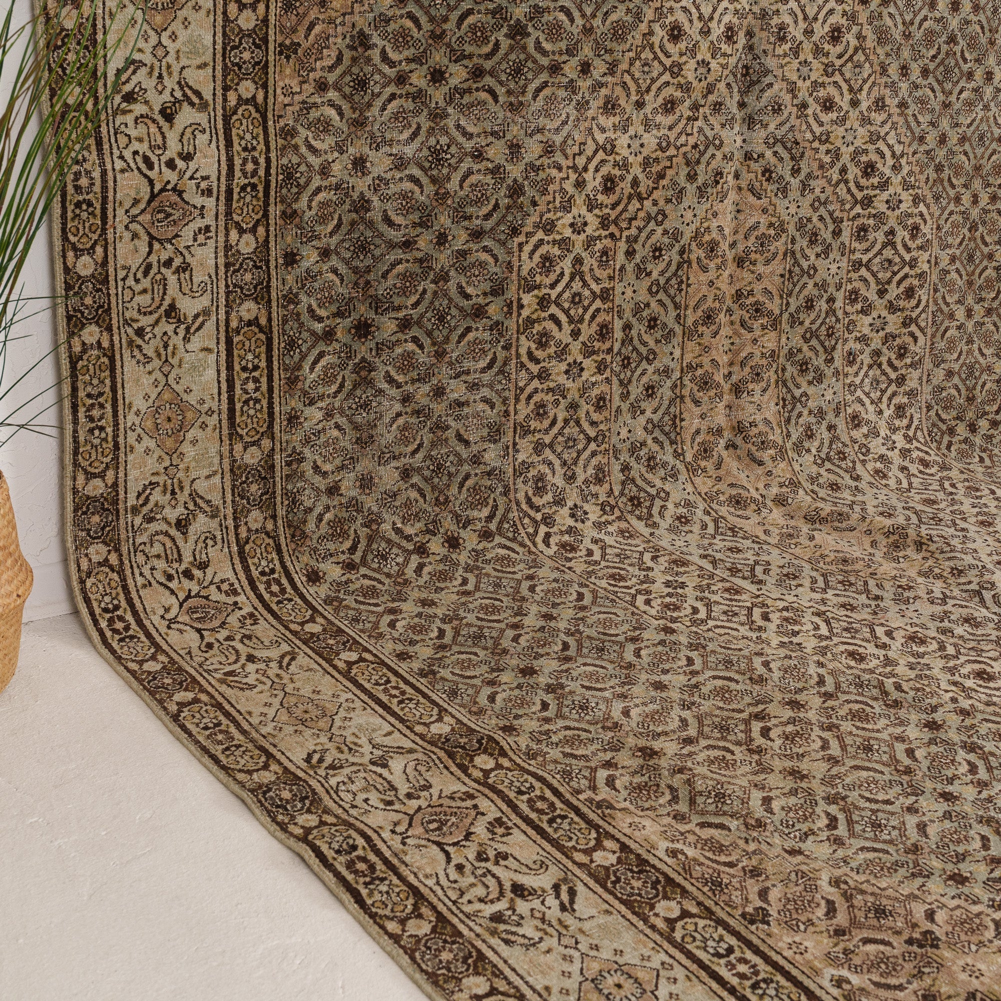 Blue and Beige Area Wool Rug
