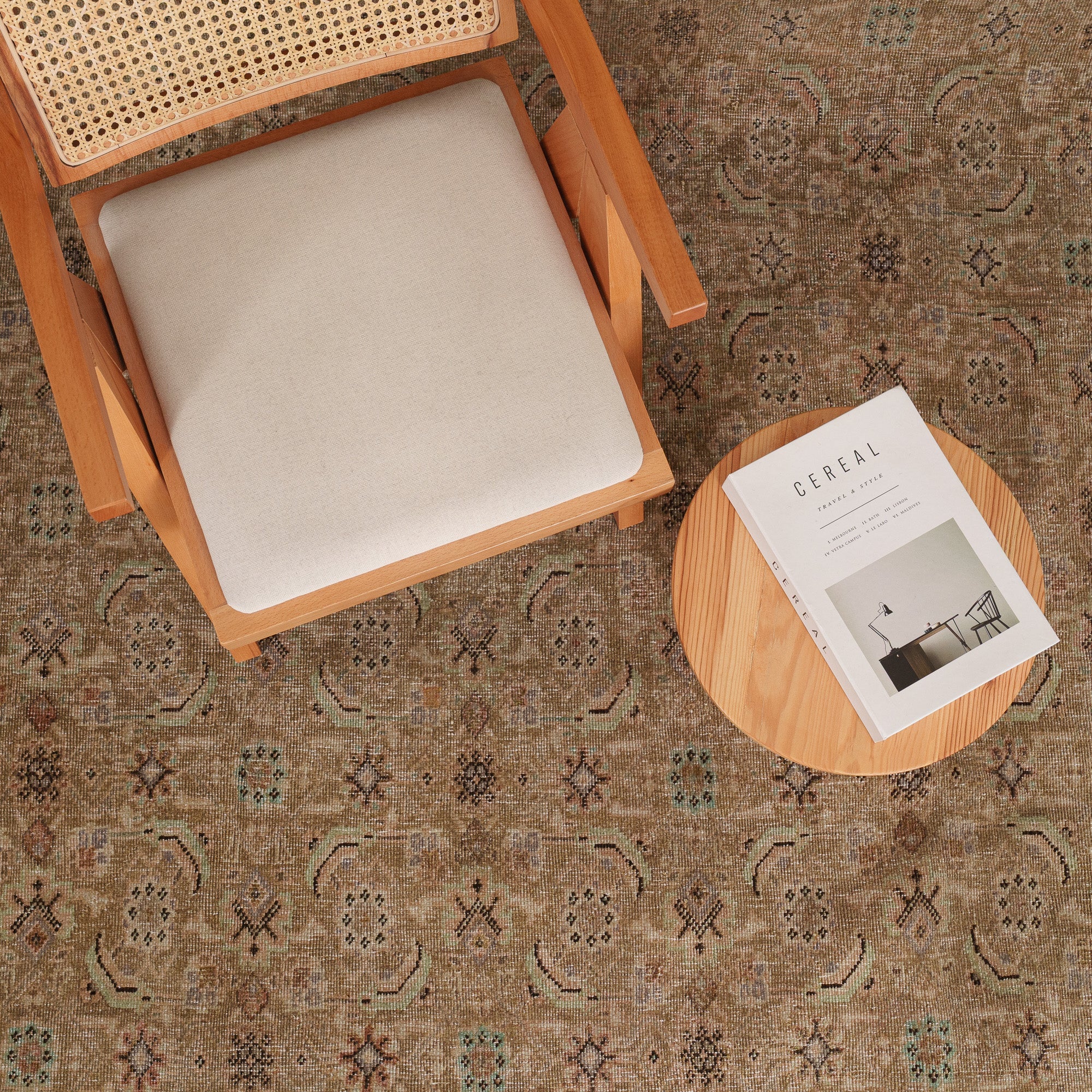 Antiquewashed Beige Area Rug