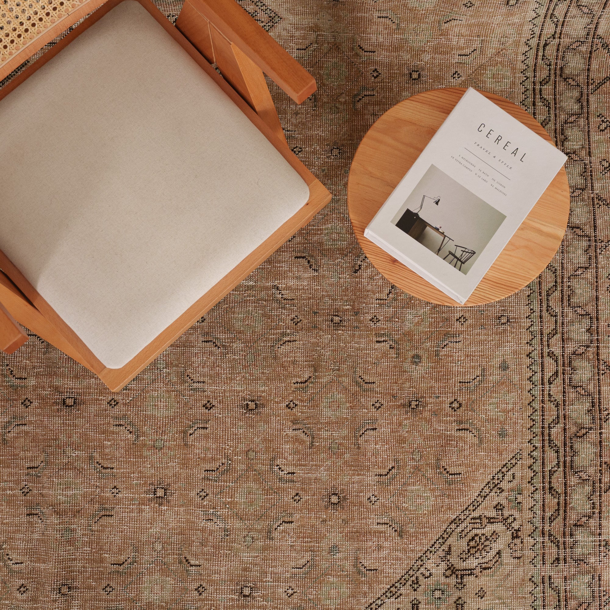 Antiquewashed Beige Area Rug