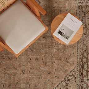 Antiquewashed Beige Area Rug