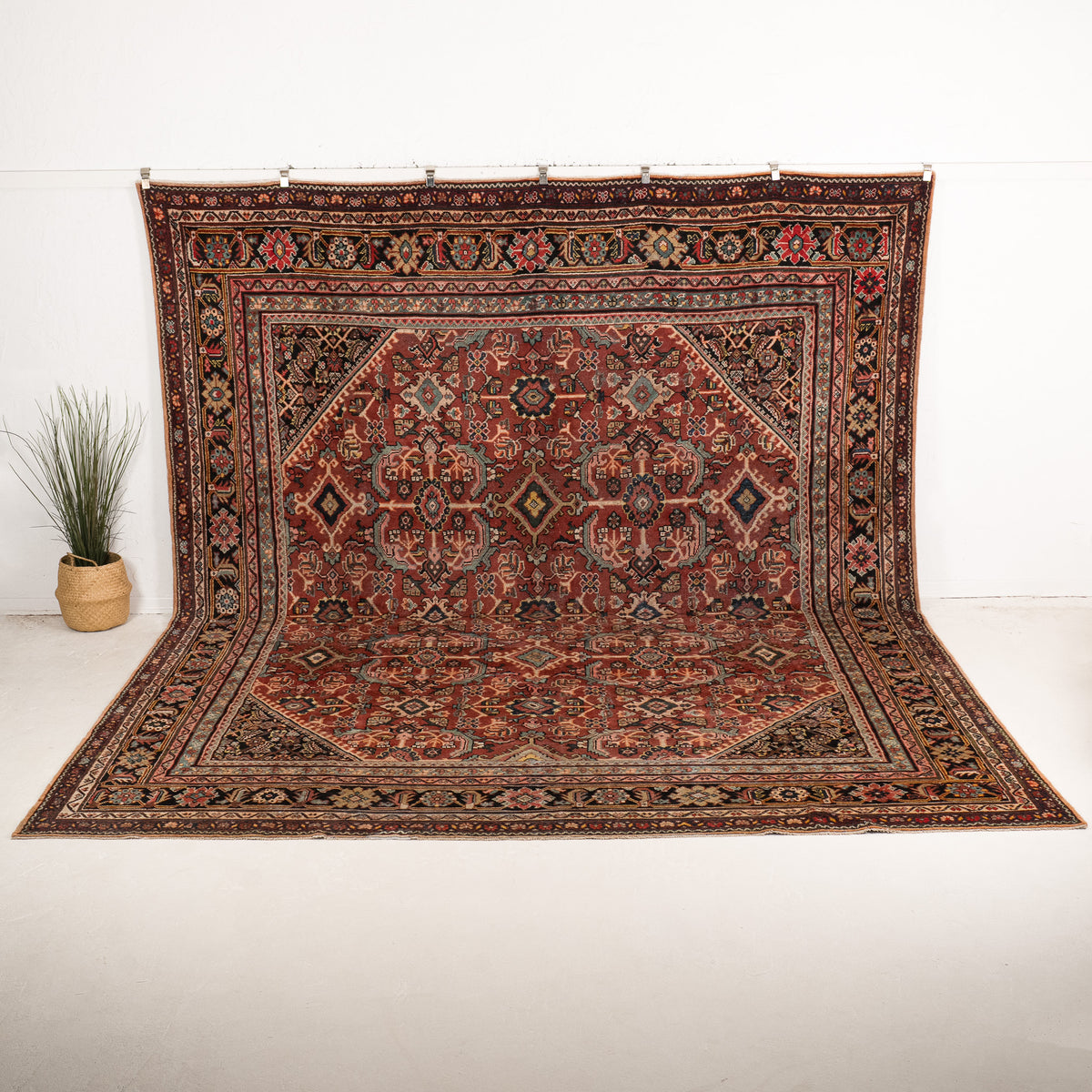 Benedinia - Vintage Persian Area Rug