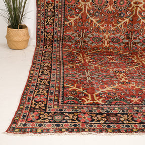 10x13 Persian Rug