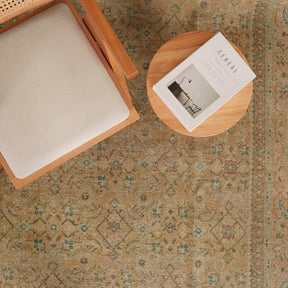 Antiquewashed Beige Area Rug