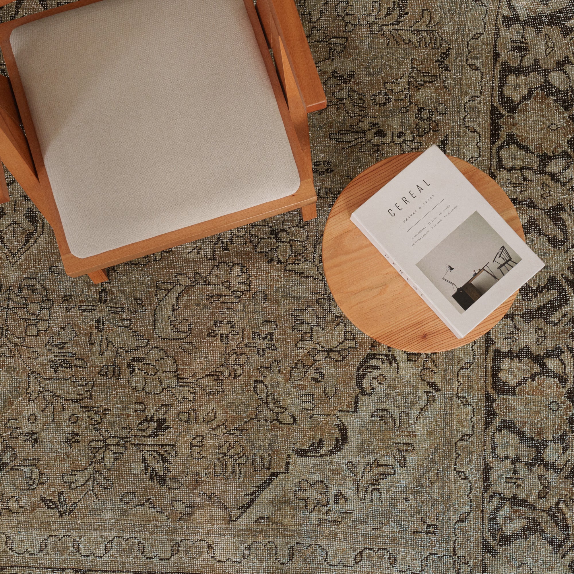 Antiquewashed Beige Area Rug