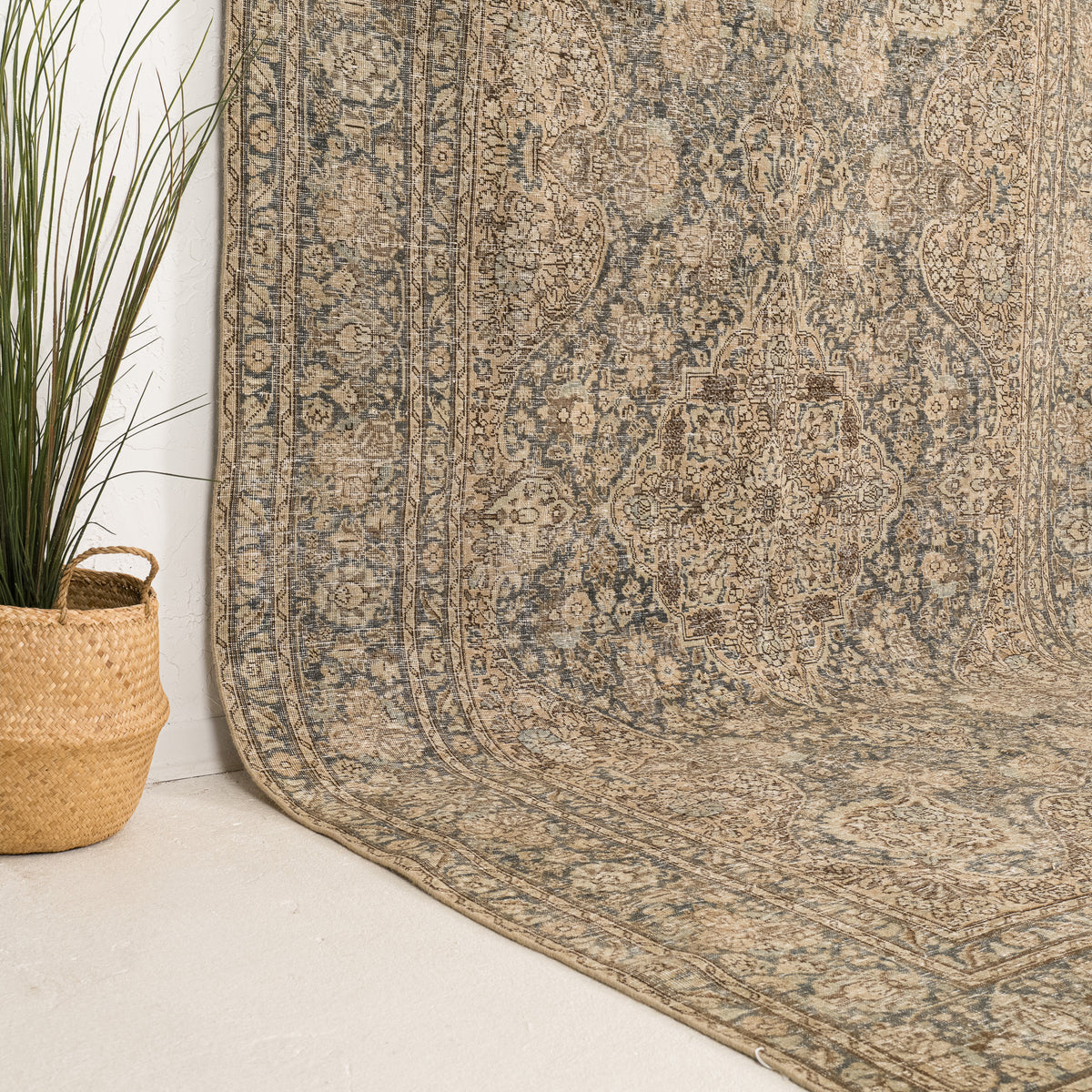 Beige and Blue Area Wool Rug