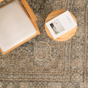 Antiquewashed Beige Area Rug