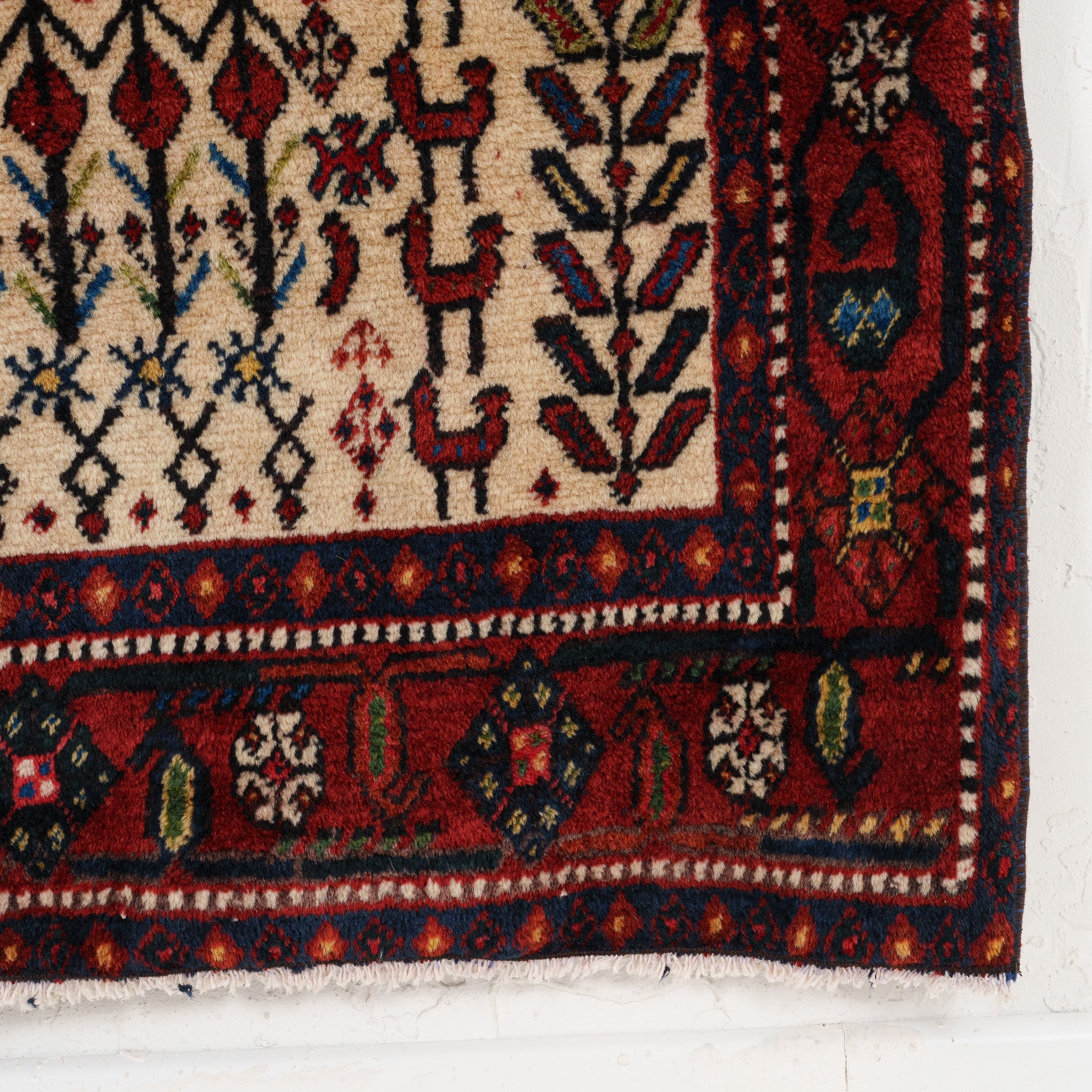 Medallion 5x6 Area Rug