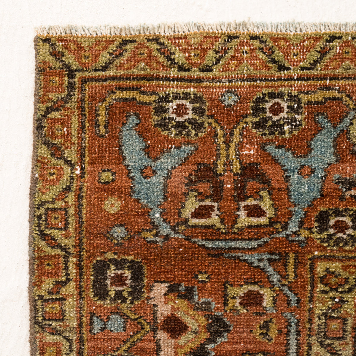Allover 6x8 Area Rug