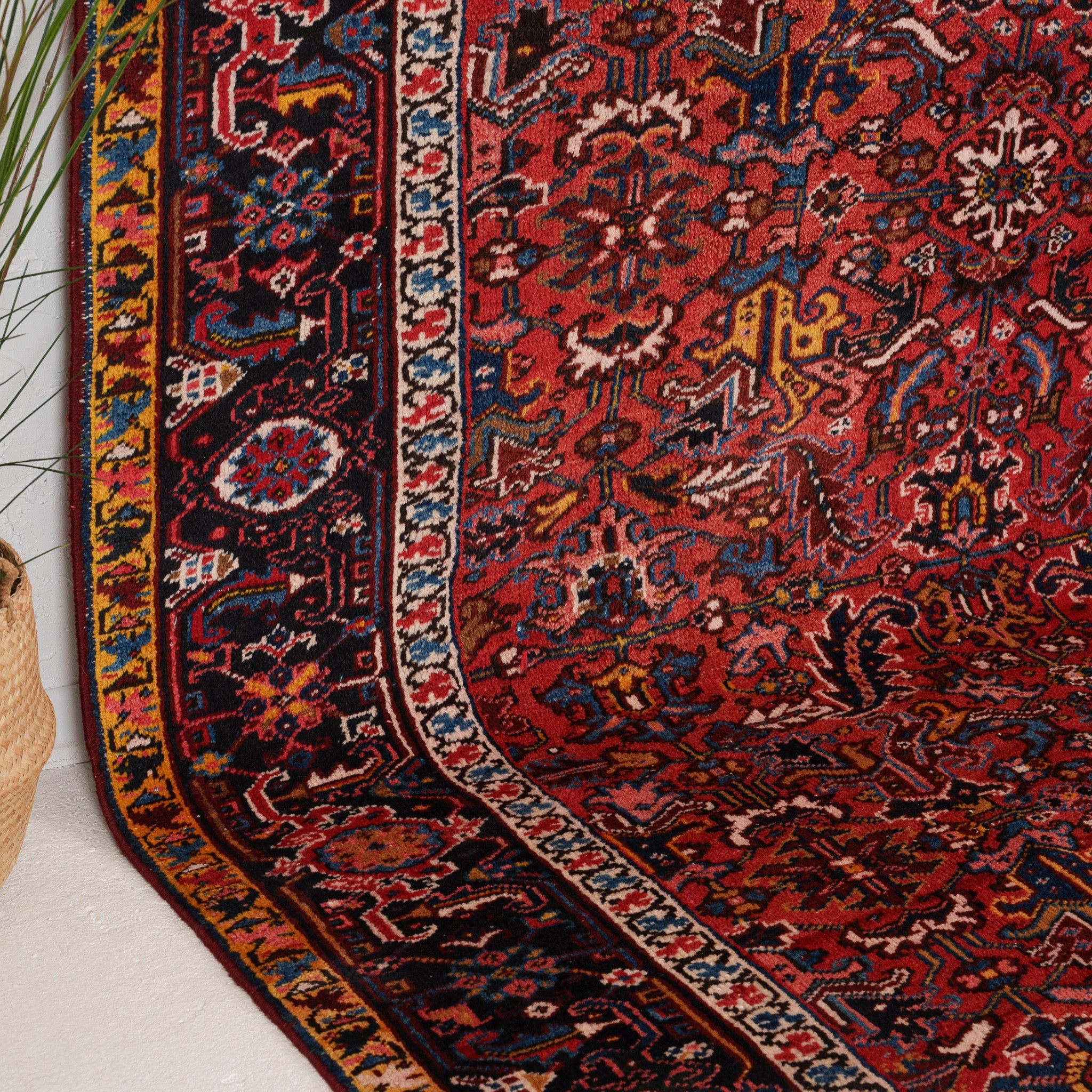 Red and Blue Area Wool Rug
