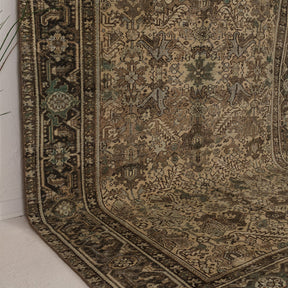 Brown and Beige Area Wool Rug