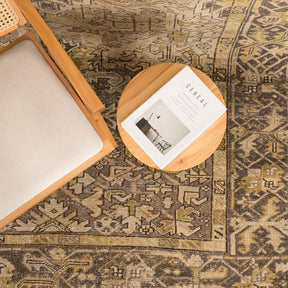 Antiquewashed Beige Area Rug