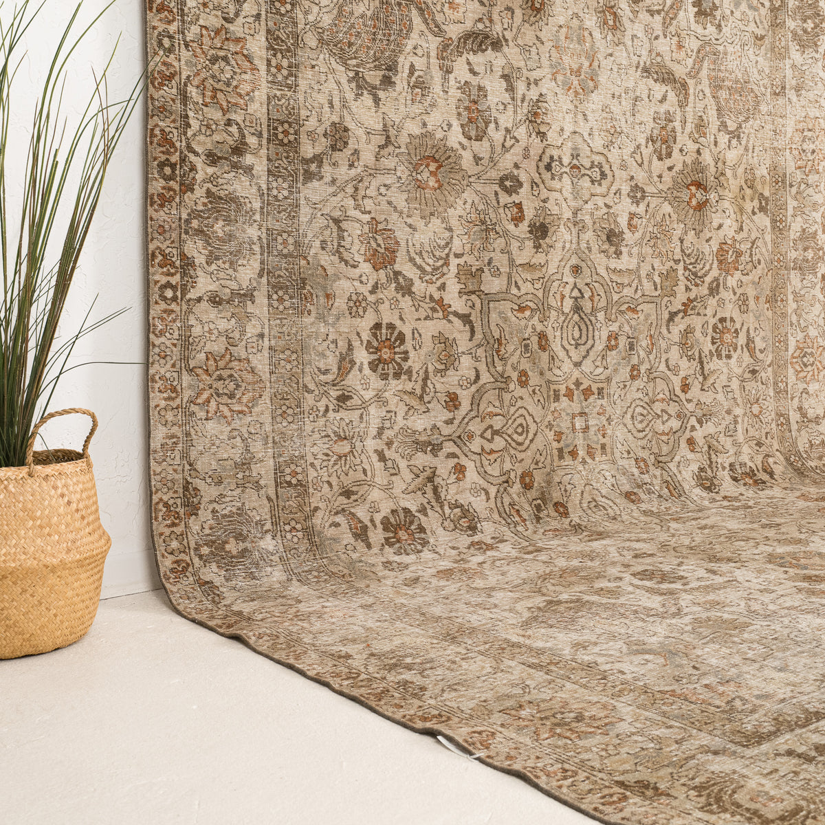 Beige and Brown Area Wool Rug
