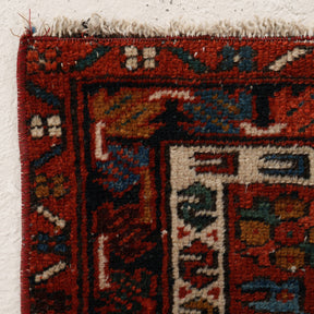 Medallion 2x7 Area Rug