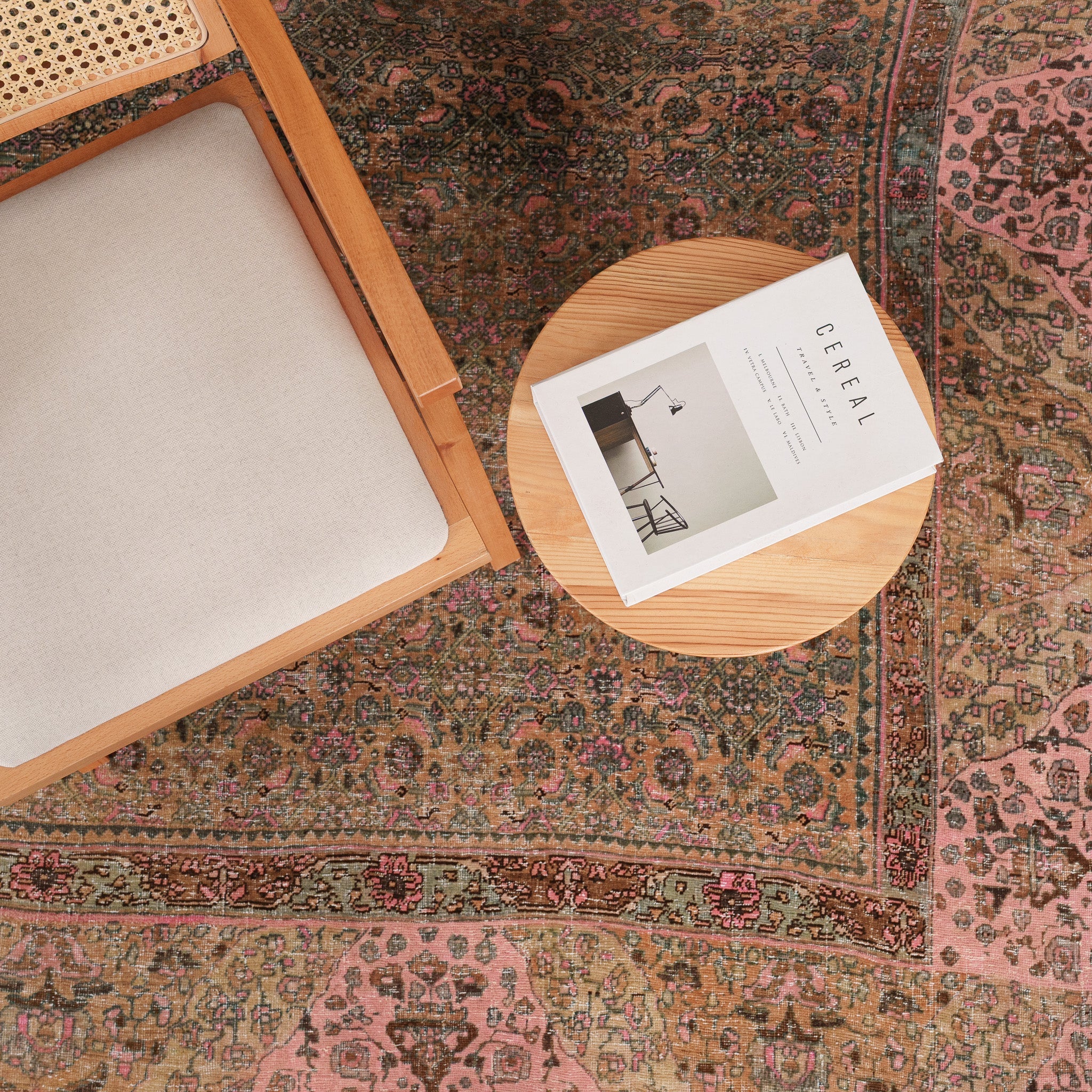 Antiquewashed Brown Area Rug
