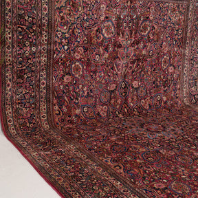 10x16 Persian Rug