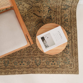 Antiquewashed Beige Area Rug