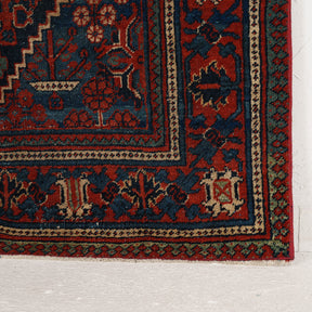 Medallion 4x7 Area Rug