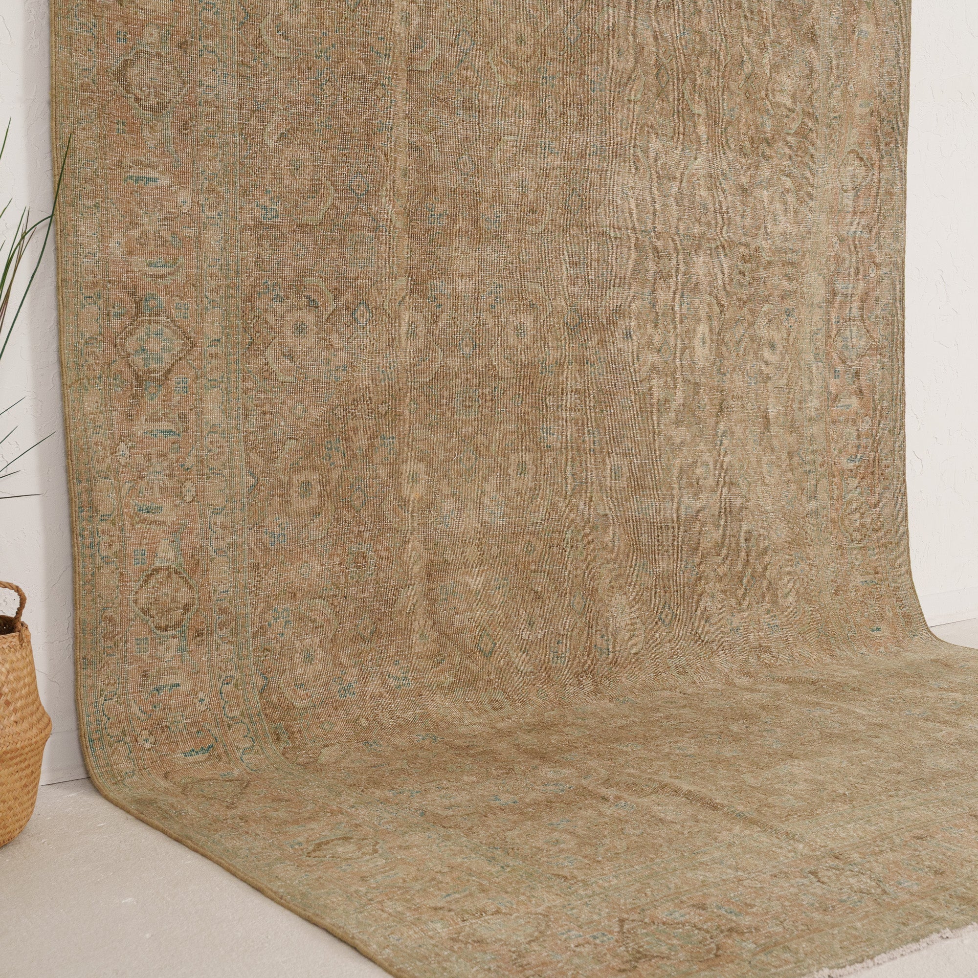 Beige and Blue Area Wool Rug