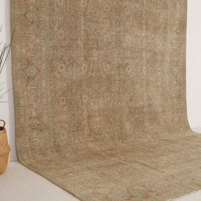 Beige and Blue Area Wool Rug