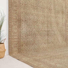 Beige and Brown Area Wool Rug