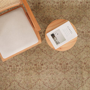 Antiquewashed Beige Area Rug