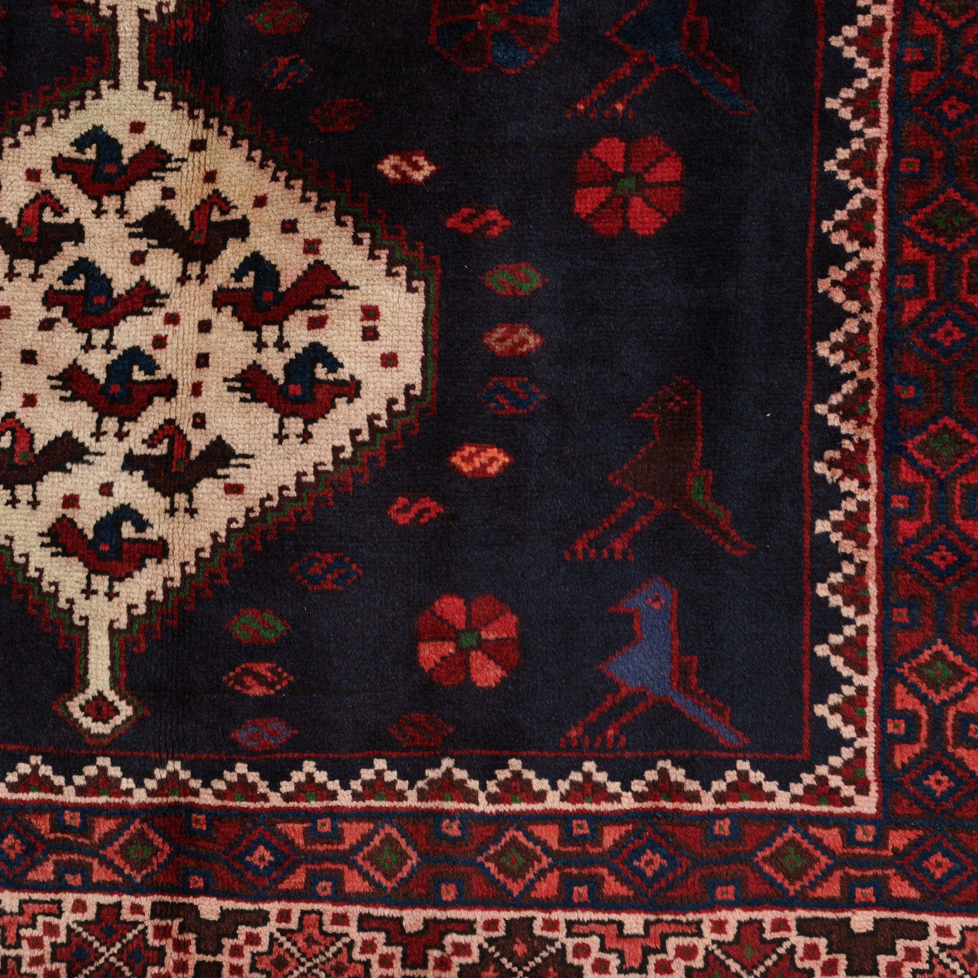 Floral 5x7 Area Rug