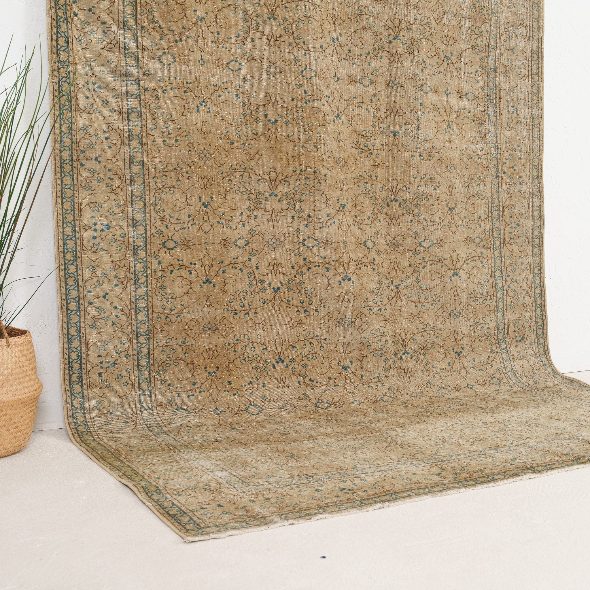 Beige and Blue Area Wool Rug