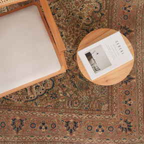 Antiquewashed Beige Area Rug