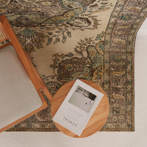 Antiquewashed Beige Area Rug