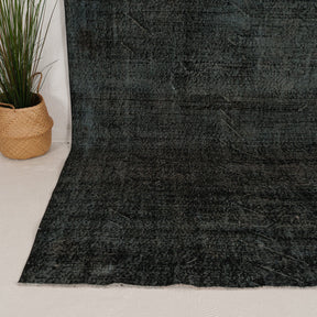 6x10 Persian Rug