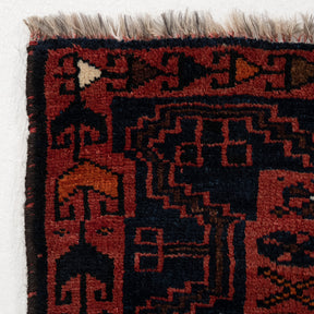 Medallion 7x10 Area Rug