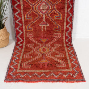 3x9 Persian Rug