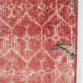 Antiquewashed Red Area Rug