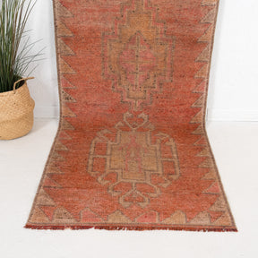 3x9 Persian Rug