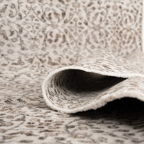 Antiquewashed Beige Area Rug
