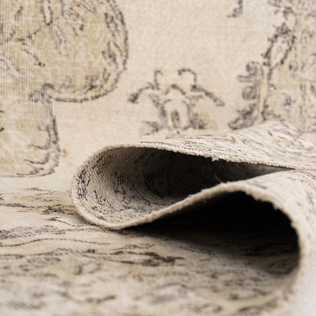 Antiquewashed Beige Area Rug