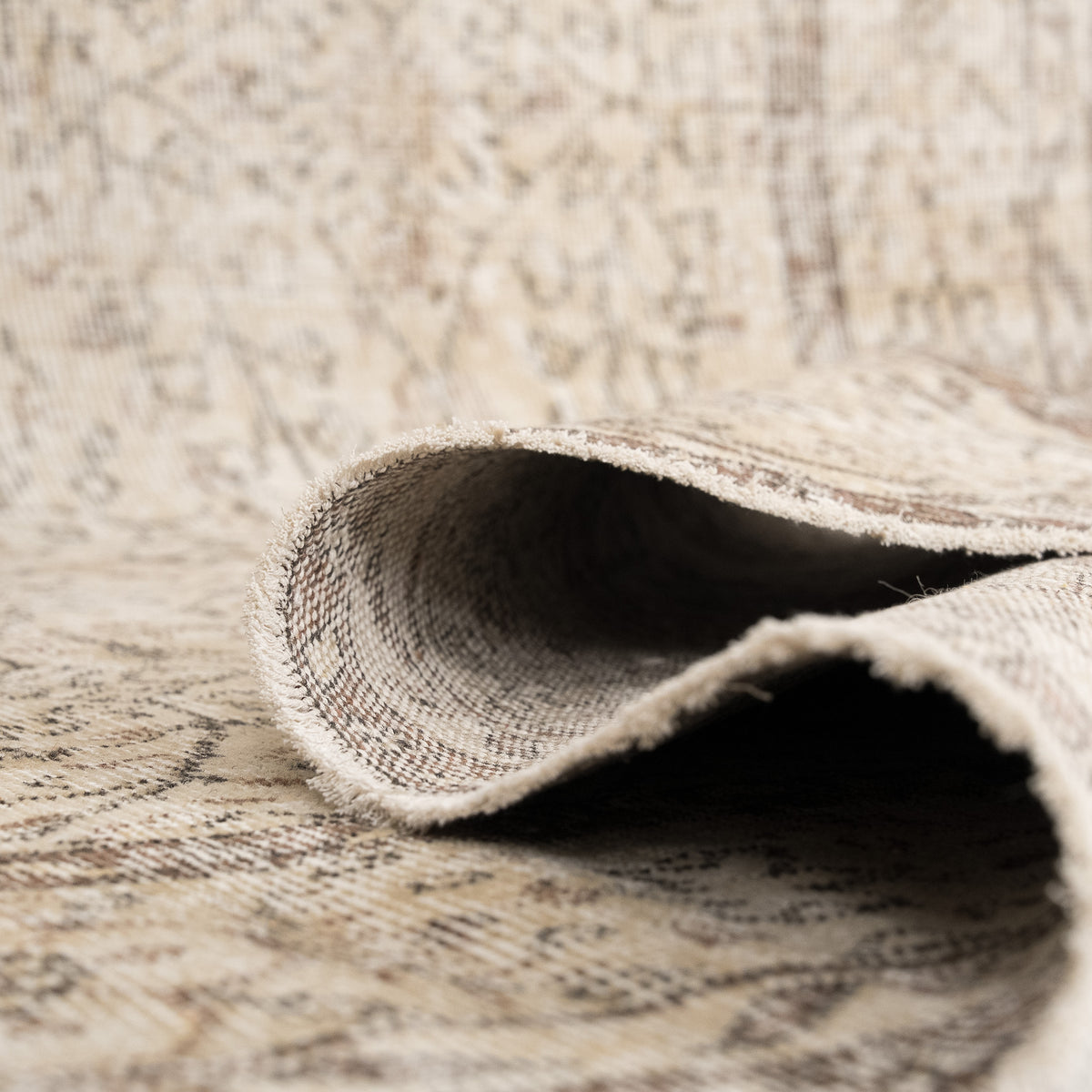 Antiquewashed Beige Area Rug
