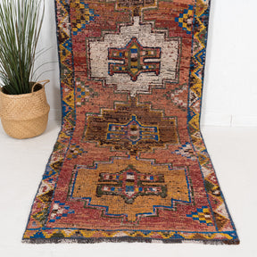 3x10 Persian Rug