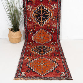 3x11 Persian Rug