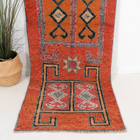 3x9 Persian Rug