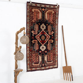 Brown and Red Area Wool Rug