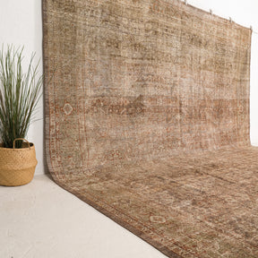 Beige and Orange Area Wool Rug