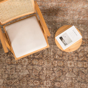 Antiquewashed Beige Area Rug