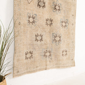 Beige and Brown Area Wool Rug
