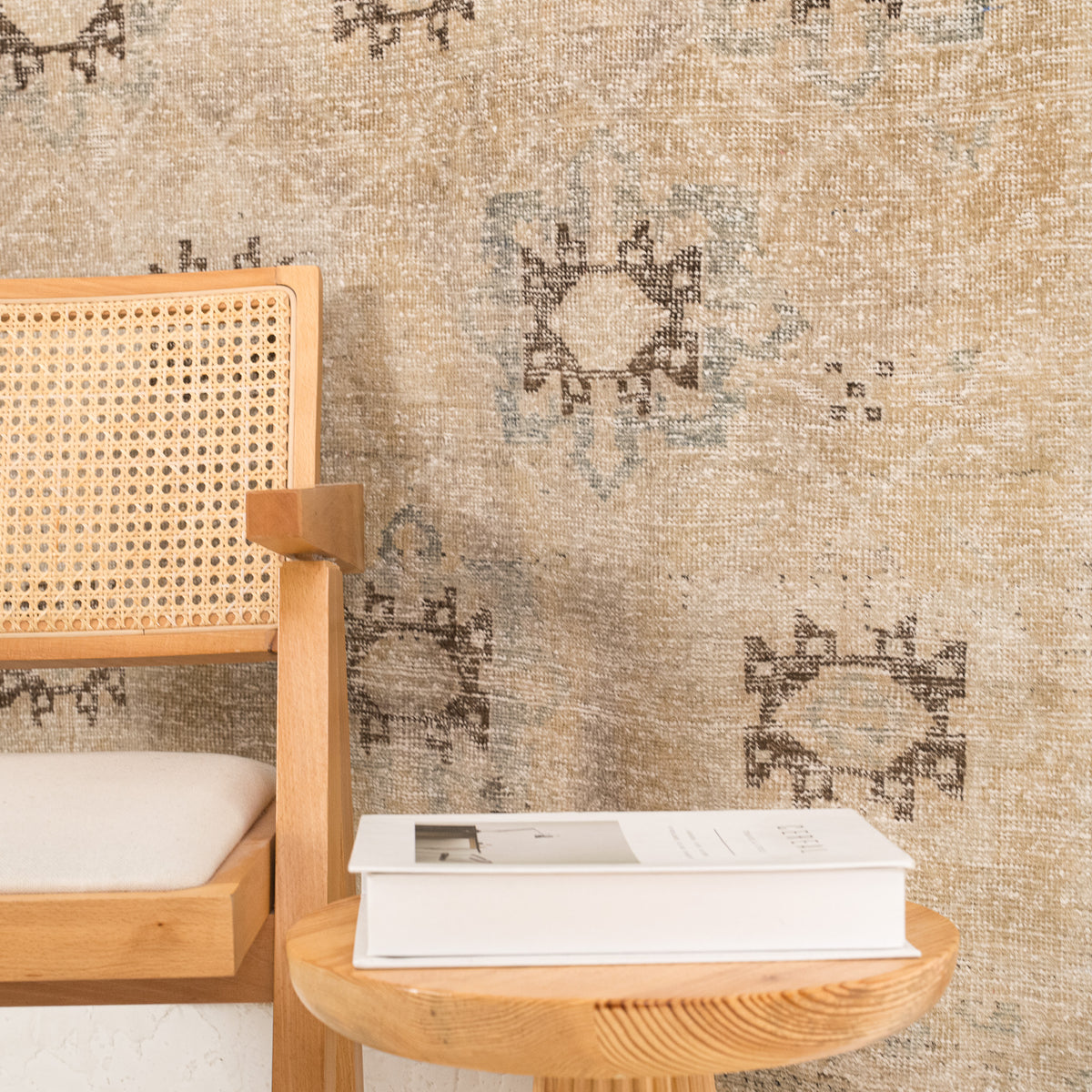 Antiquewashed Beige Area Rug
