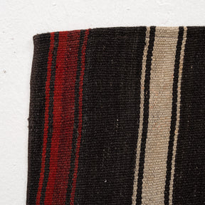 Striped 7x10 Area Rug