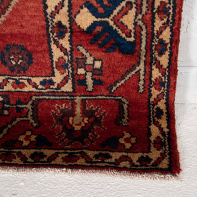 Allover 4x7 Area Rug