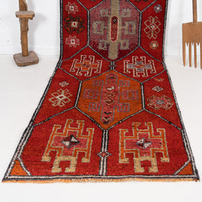 3x11 Persian Rug