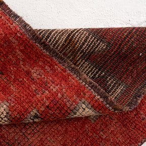3x10 Red Runner Rug